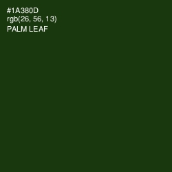 #1A380D - Palm Leaf Color Image